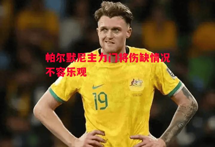 帕尔默尼主力门将伤缺情况不容乐观