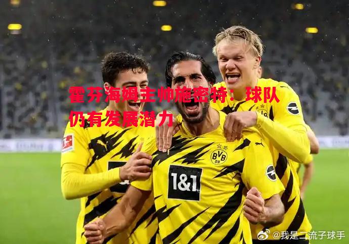 霍芬海姆主帅施密特:球队仍有发展潜力 霍芬海姆主帅施密特:球队仍有发展潜力