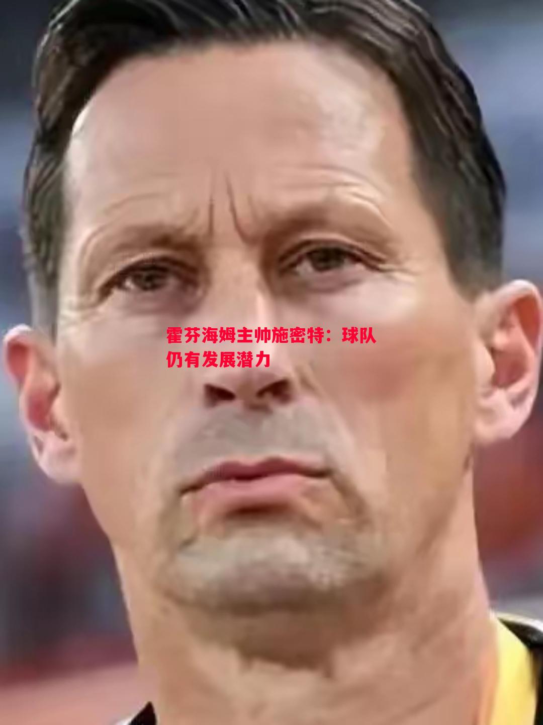 霍芬海姆主帅施密特:球队仍有发展潜力 霍芬海姆主帅施密特:球队仍有发展潜力