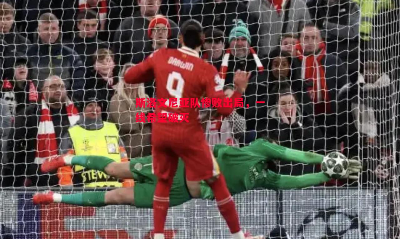 斯洛文尼亚队惨败出局,一线希望破灭 斯洛文尼亚队惨败出局,一线希望破灭