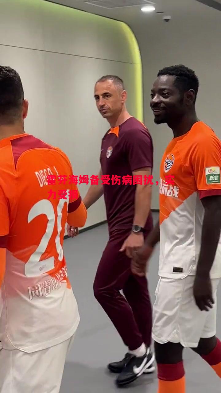 霍芬海姆备受伤病困扰,实力受损 霍芬海姆备受伤病困扰,实力受损